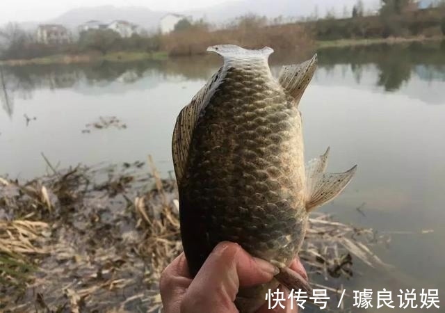 药酒|只用2种材料泡制的钓鱼药酒!钓鲫鱼效果显著,用法用量都在这