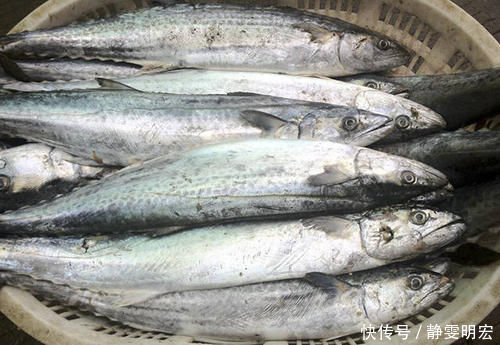 聪明人吃鱼只买这5种，人工无法养殖，营养高味道好，价格不算贵