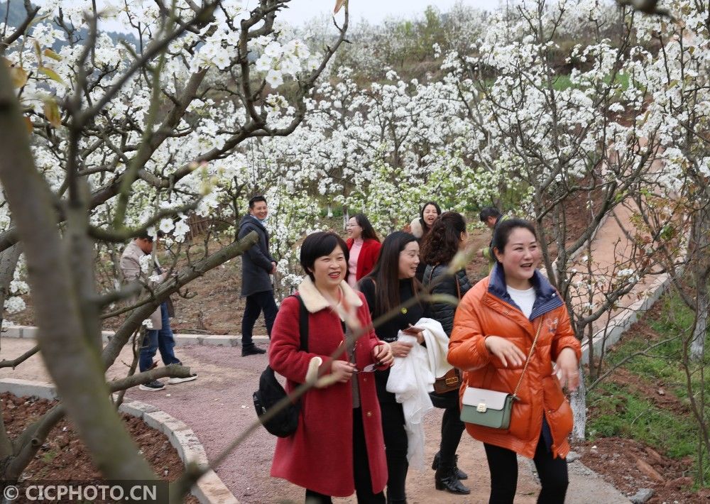 老年|春染大地万物苏 正是踏青好时节