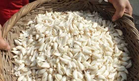 养颜|女人别太节俭4种“零食”要多吃,美白养颜,延缓衰老更年轻