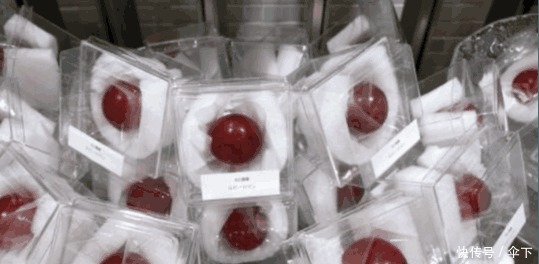 日本|到日本才知道, 葡萄都是按“粒”卖的, 网友 贫穷限制了我的想象