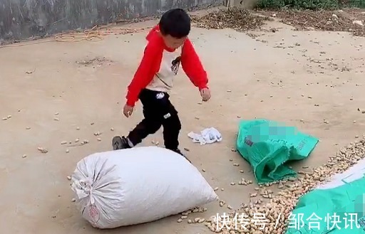拖拉机|萌娃“开拖拉机”帮奶奶运花生走红,不愧是全村最靓的那个仔