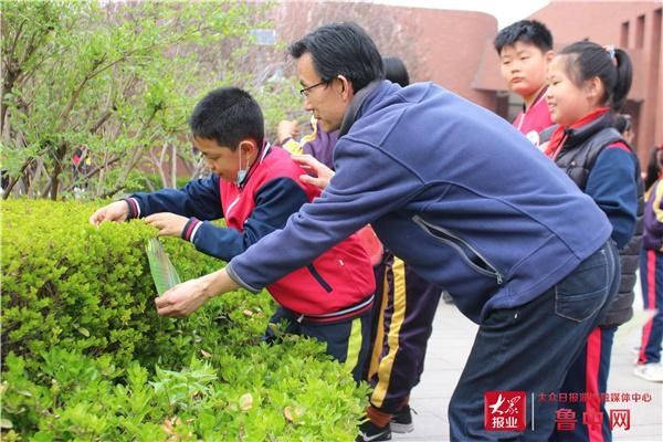 桓台县城南学校举行“我的校园我来装——挂树牌”活动