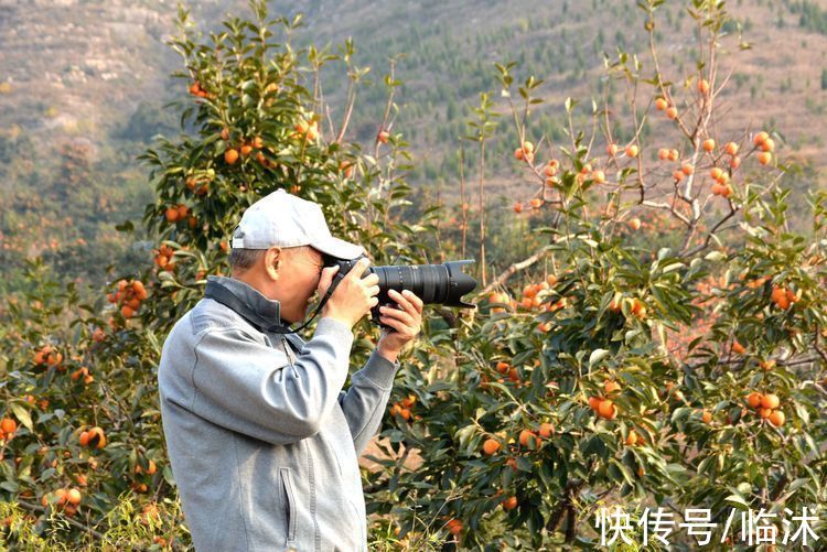 静怡|再游柿子沟