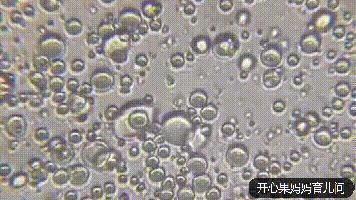 存储袋|冰冻母乳的营养到底有没有流失显微镜2000倍放大的结果，令人意外