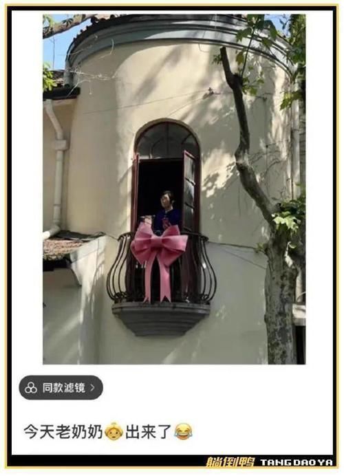 垃圾桶|刷屏的“阳台奶奶”搬走了,网红蝴蝶结也被扔进了垃圾桶……
