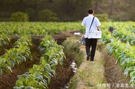 清代|翻出清代“医仙”治耳鸣的方子中气足，耳脉通，耳鸣不再叫