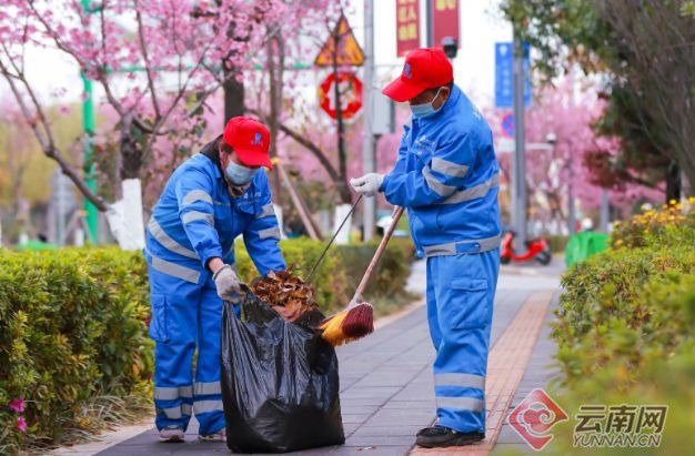 云南京环海洁公司|“京环蓝”们让赏樱观鸥大道一尘不染