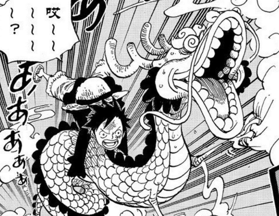 小蜘蛛|海贼王1020话情报:大和果实能力曝光,罗宾暴走,KO黑玛利亚