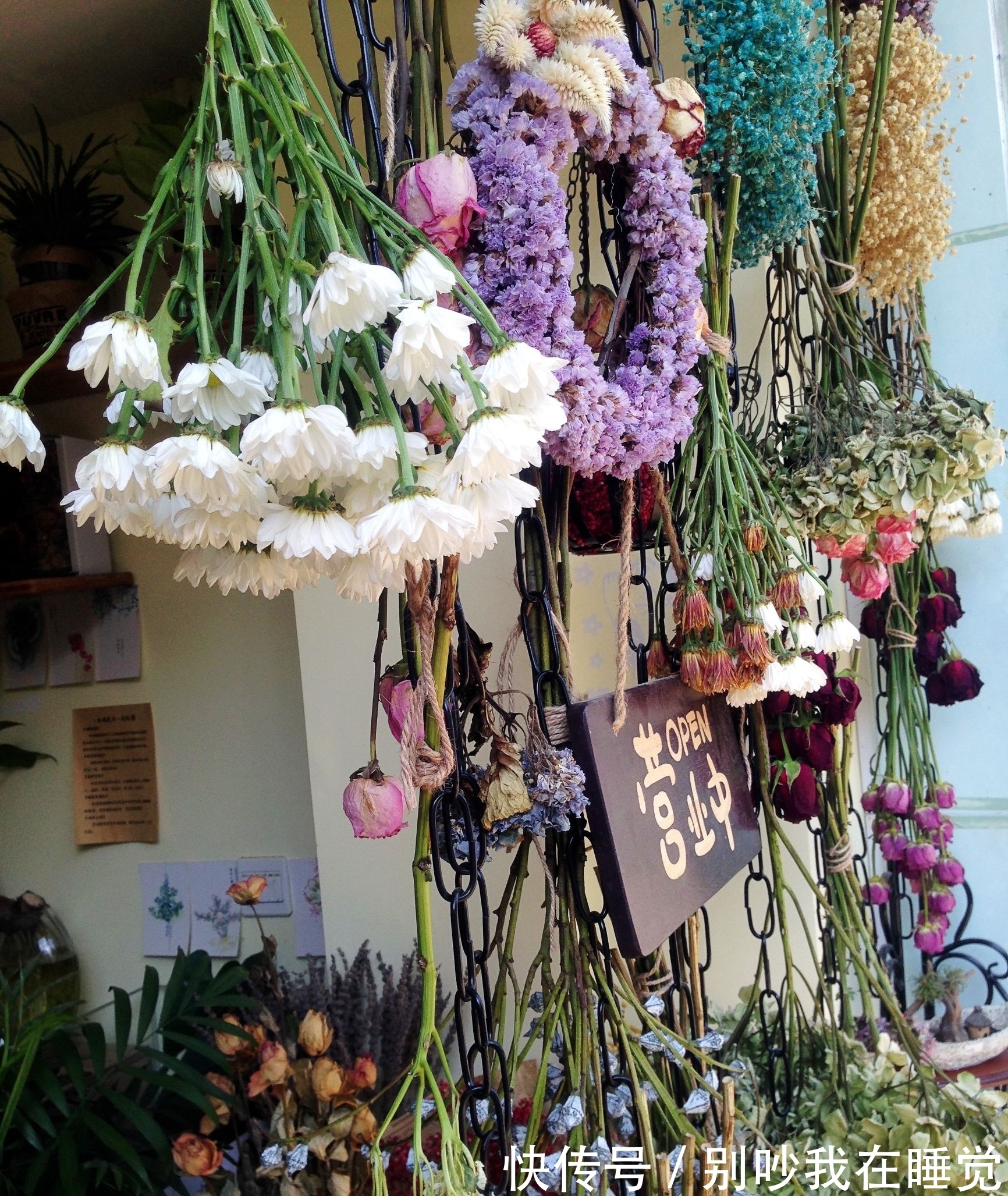 养花,花期短?教你一个小技巧,延长花期一整年,艳丽开不败