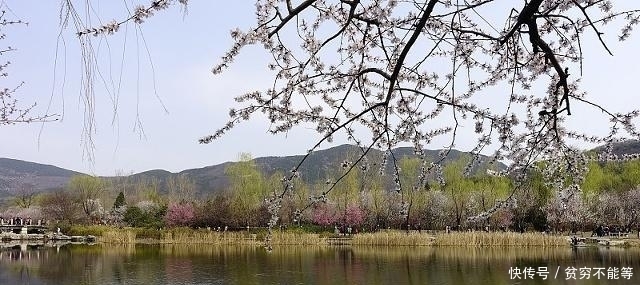 宋诗里最不容错过的一首诗,律回岁晚冰霜少,春到人间草木知!