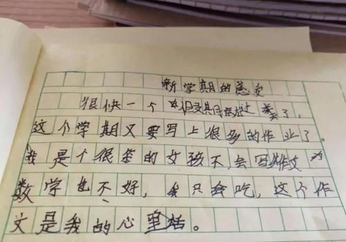 学生凑字作文《抓鸭子》，凑字数过于明显，老师看后哭笑不得