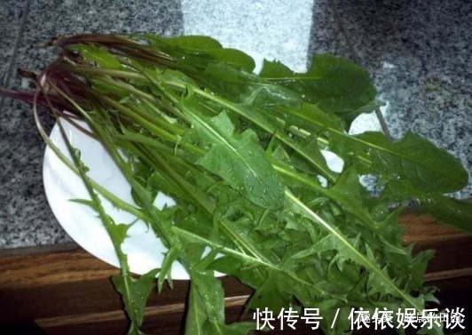 妙用|蒲公英的根有妙用十个女人九个炎症，早晚一杯，比益母草还管用