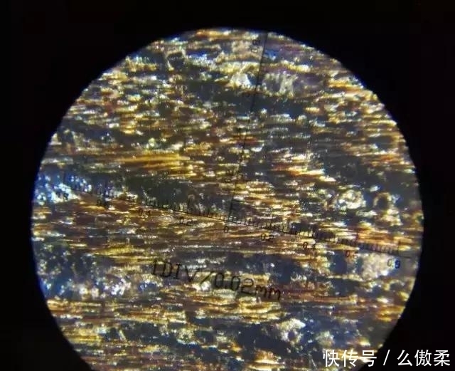 放大|把金丝楠木放大100倍后的样子,你有见过吗?