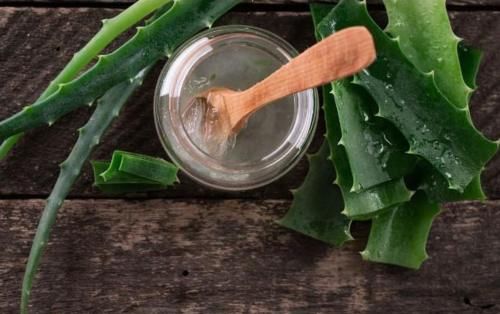 都说芦荟好用，尤其是芦荟捣烂外敷这2大功效，用过的都叫好