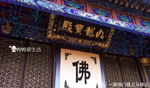 九龙藻井|普陀山三大寺之一，镇寺之宝来自南京明故宫，寺名来自康熙御赐！