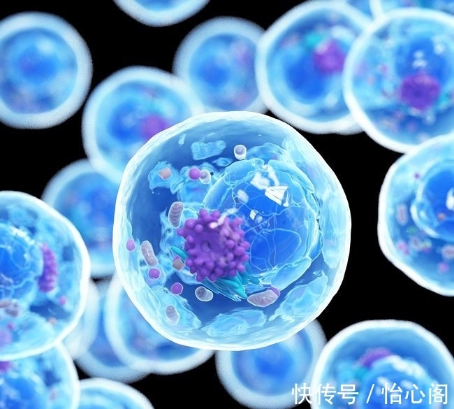 8条有趣的世界冷知识,你知道多少呢?