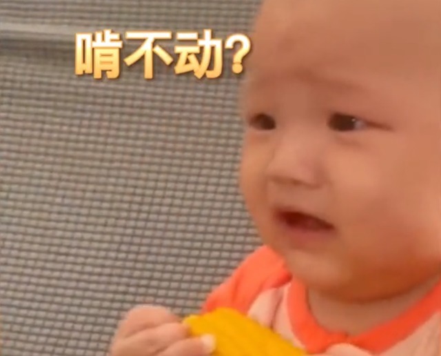 玉米|笑哭!广东一萌宝抱着玉米一顿猛“操作”,最后成功把自己整哭了