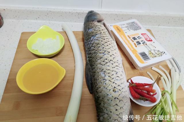 大葱|它是被人“误解”最深的鱼，比甲鱼营养高，5元一斤，却无人问津