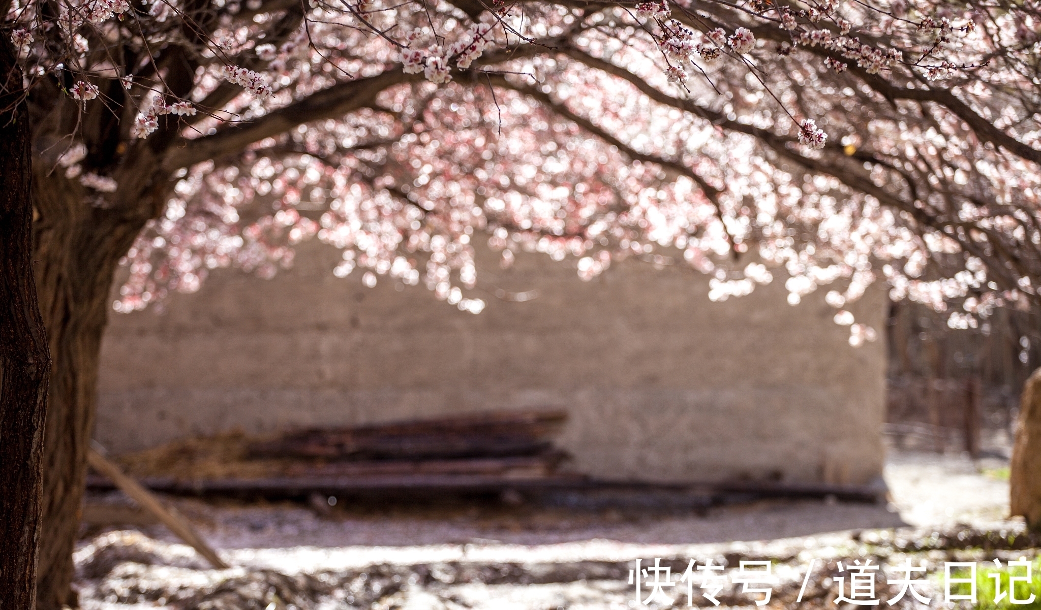 五言律诗#宋诗精华五首,其中一首是北宋杰出词人晏几道的作品,希望您喜欢