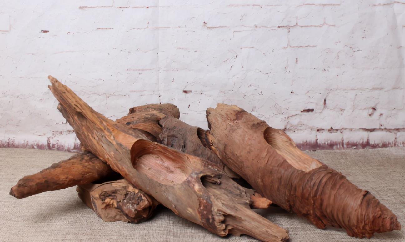 酒瓶|怎么自制花盆算得上有创意?拿这4样改造,好用,各有特色