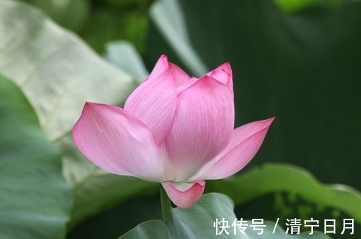 步入10月,人生大吉,4属相贵人相助,运势更上一层楼