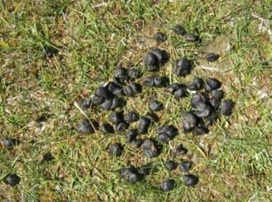 谁见谁烦的“废料”，可以用来养花，埋土里，透气效果好！