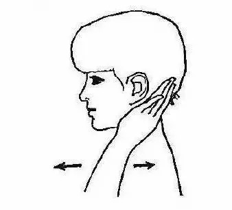 两臂|15分钟经络功：此功法简单易行，让不少人都活过了100岁！