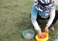 野钓前4大准备，按下面的顺序做，让你钓得比谁都快，十分钟上鱼