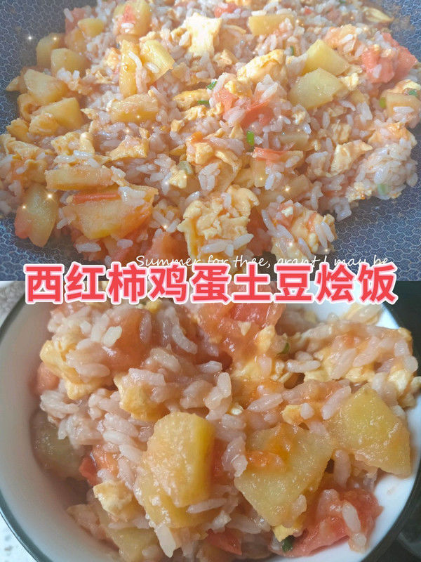 西红柿|西红柿鸡蛋土豆烩饭