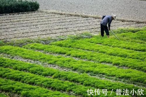 征地|补偿安置，无需申请必须履职！