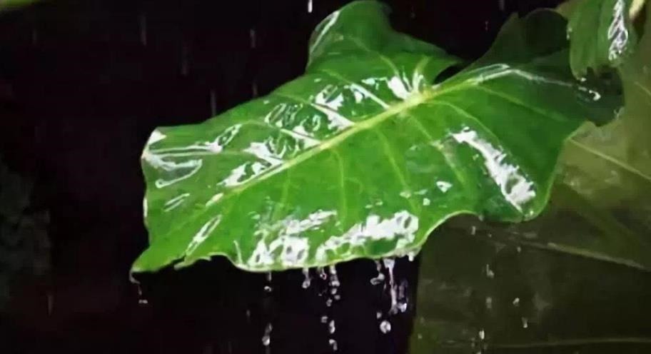 不得志&落榜才子辗转难眠写首词,无一“雨”字句句写雨,成咏雨千古绝唱