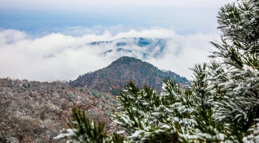  大雪|【鸢都壁纸】今日，大雪！