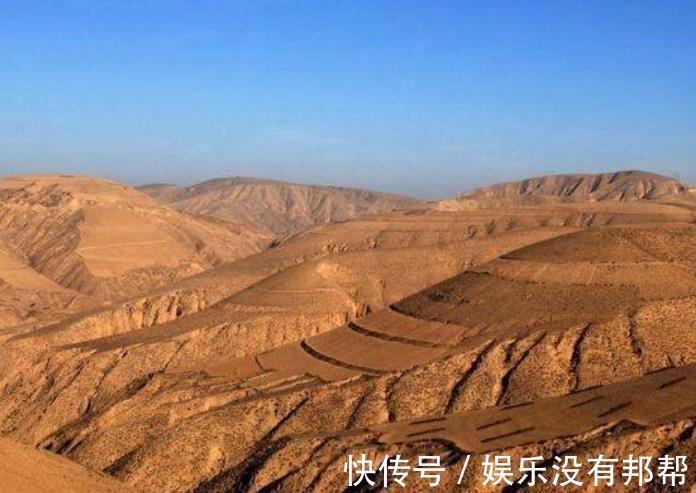 松针土|养花学会自己配土，省钱而且更肥沃，不论种什么花都能养得好