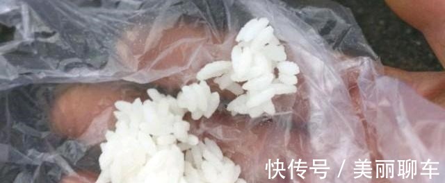 钓饵|别看这东西便宜,却是鲫鱼最爱吃的饵料,它就在你身边