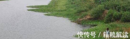 冬季阴天,鱼都藏三个“特殊”位置,只有老手才懂