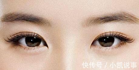 狐狸|普及知识啦! 桃花眼、杏眼、凤眼、狐狸眼你分得清么