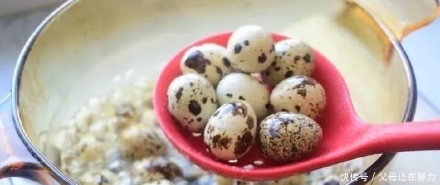 好吃|鹌鹑蛋最好吃的做法，比白水煮的好吃百倍，一口一个真过瘾