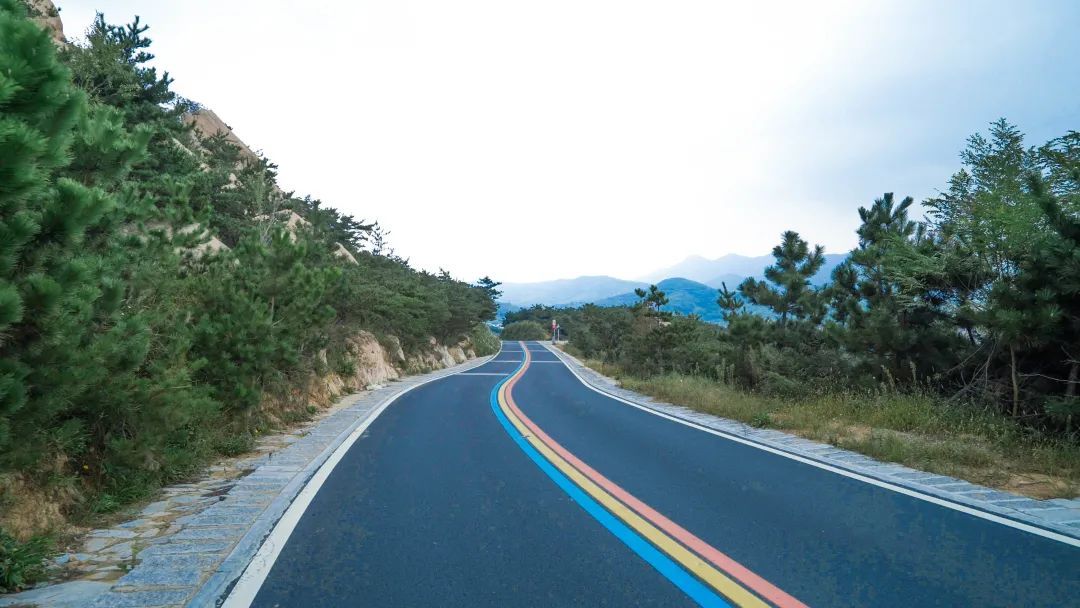 齐鲁风情5号路,把绿水青山带成金山银山|“沿着公路看乡村振兴”①| 樱桃树