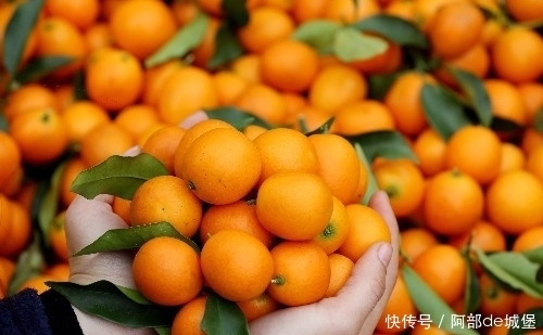 咳嗽|冬季后,咳嗽一直不好,可用此物煮水,润肺止咳,预防冬季流感