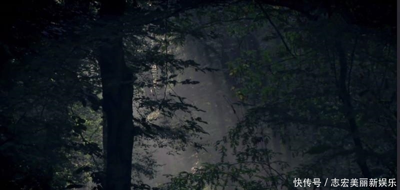 基因|纳粹掌握了基因改良技术?史前巨型野牛复活计划居然成功了