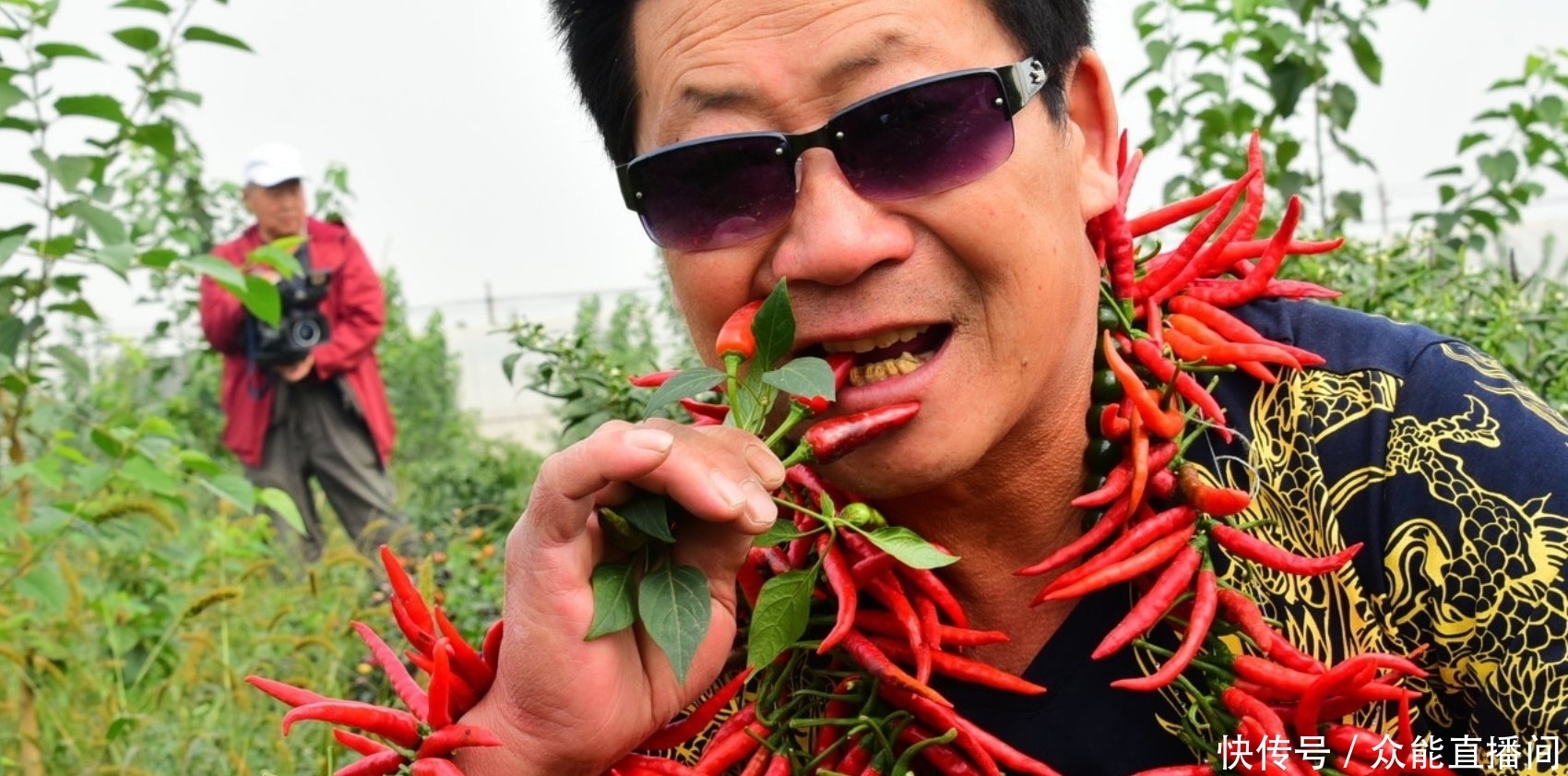奇闻:国内最能吃辣的人,能将辣椒当饭吃,地里的辣椒无人敢偷