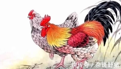 喜事|2022年开始，喜事连连，惊喜不断，大富特富的3大生肖