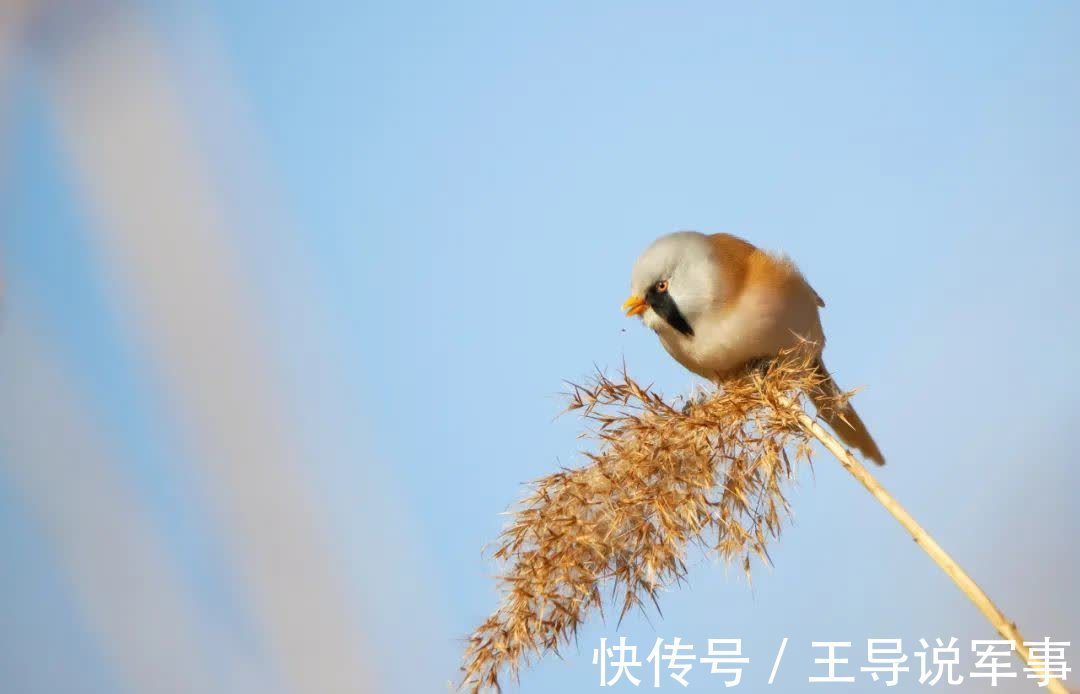 无用之物$以无用之事,修自在之心