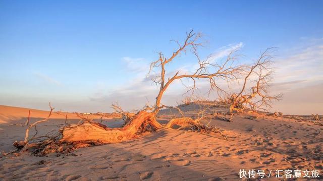 一年只美21天就在下个月，再犹豫就真错过了