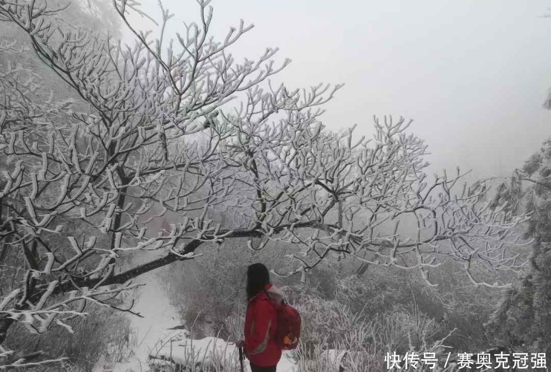 下雪|绩溪下雪啦!朋友圈已被刷爆!
