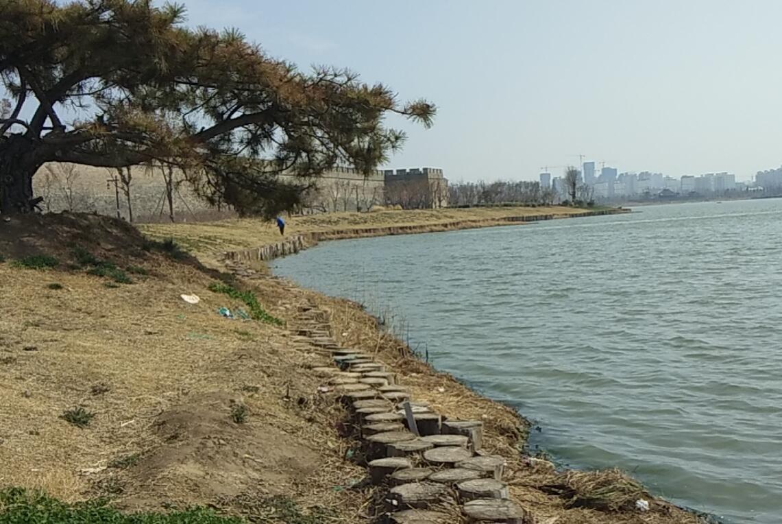 《古城焕春》 作者:田宜坤