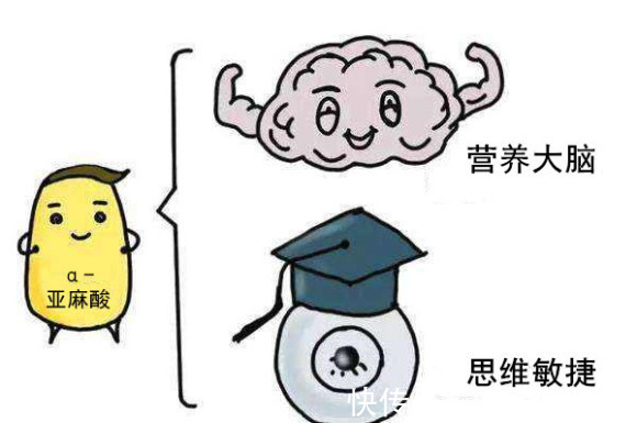 阿尔法|记忆力减退的原因有哪些,如何改善?