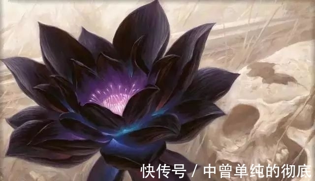 夜皇后|盘点:20种世界上最黑的花,黑的美,黑的妙,黑的呱呱叫