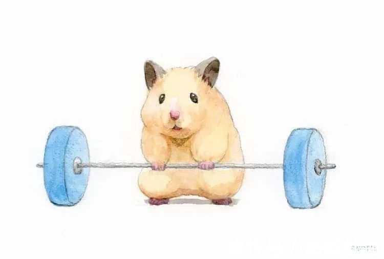 小仓鼠&他的插画主角是一只仓鼠,可爱的举动,萌到心都化了